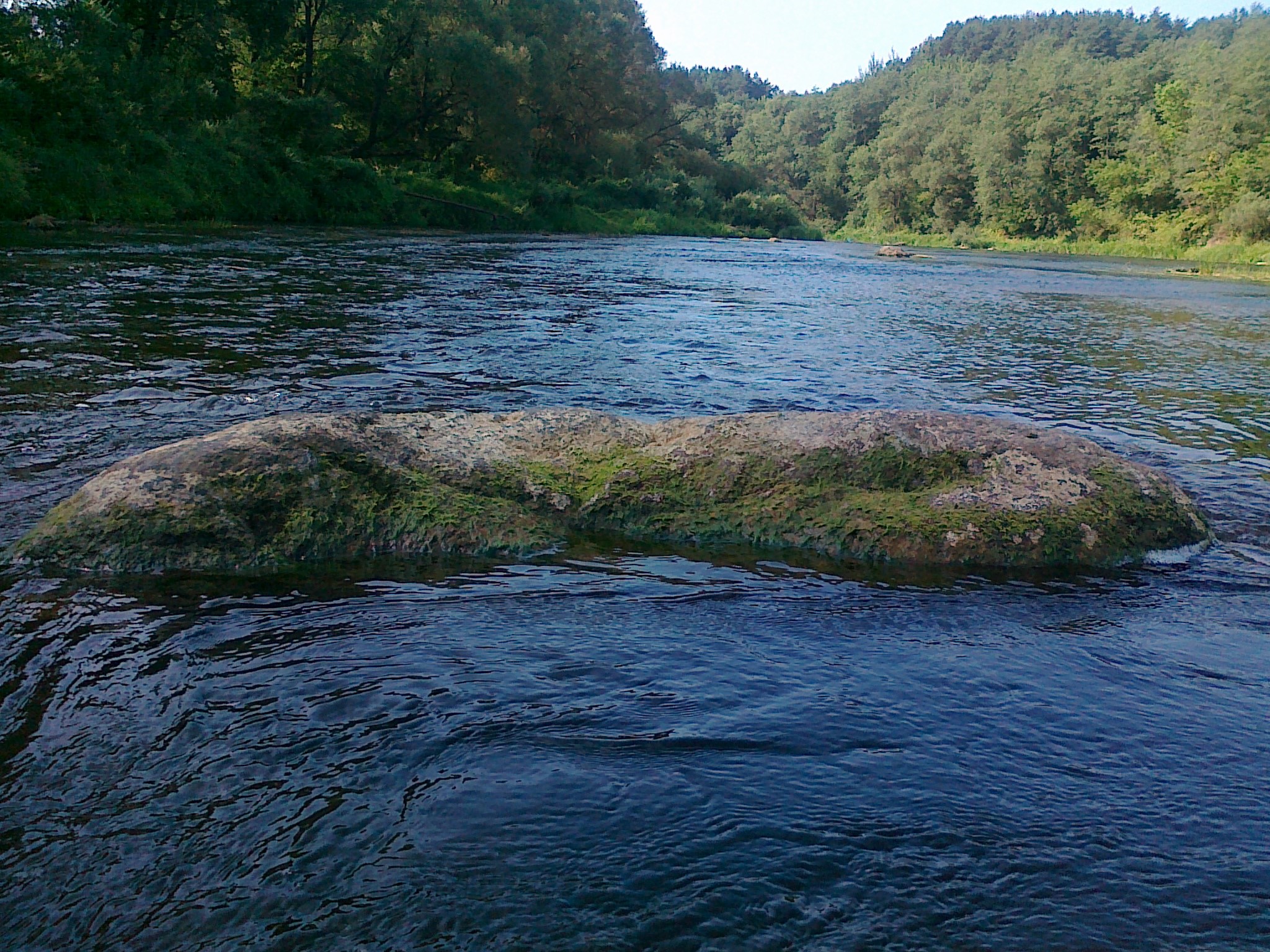 Река вонча. Река Вонча в Марий Эл. Река Вонча в Марий Эл фото. Самая чистая река в мире река Вонча.