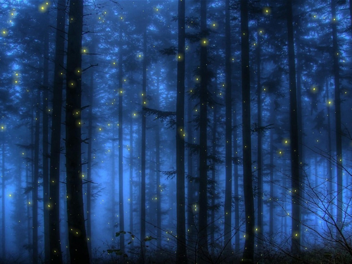 фото синего леса